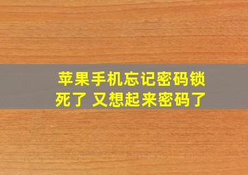 苹果手机忘记密码锁死了 又想起来密码了